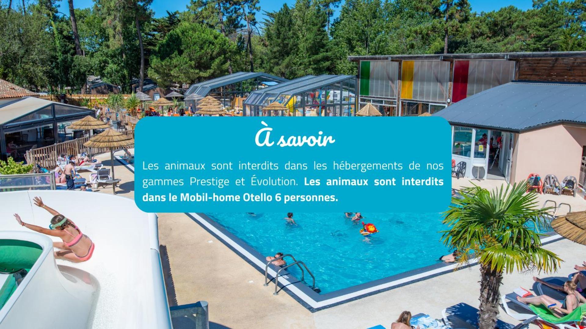 Camping Signol Boyardville Exteriör bild