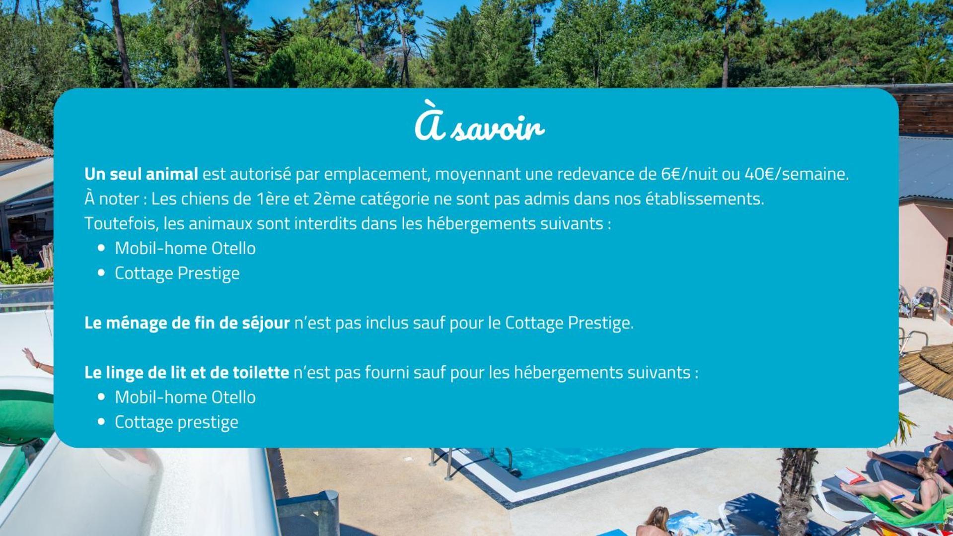 Camping Signol Boyardville Exteriör bild